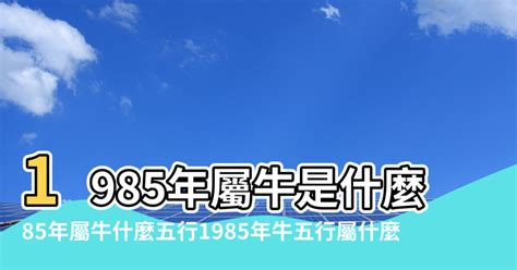 牛五行屬性|屬牛的五行屬什麼？解析生肖牛的五行及其影響